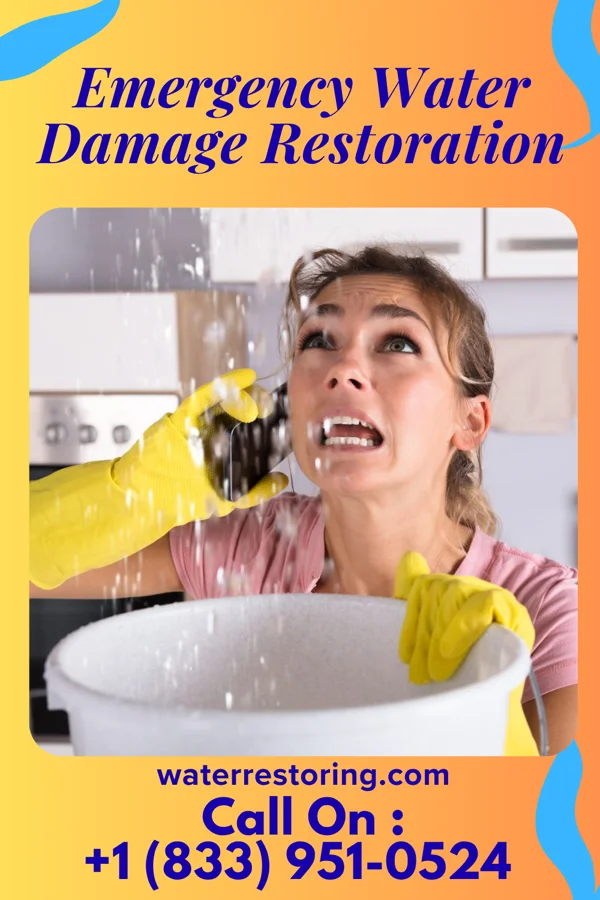Emergency Water Damage Restoration in New Florence, PA