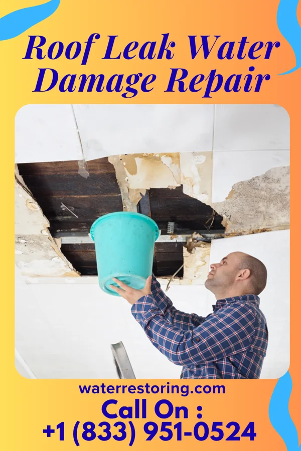 Roof Leak Water Damage Repair in New Florence, PA