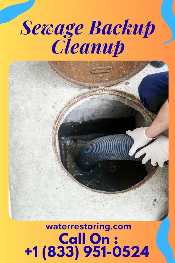 Sewage Backup Cleanup in New Florence, PA