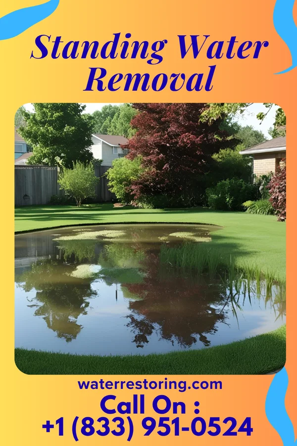 Standing Water Removal in New Florence, PA